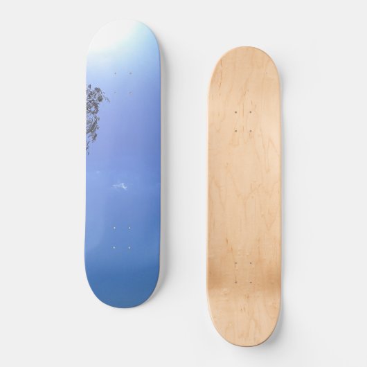 SKATEBOARD (Voorkant)