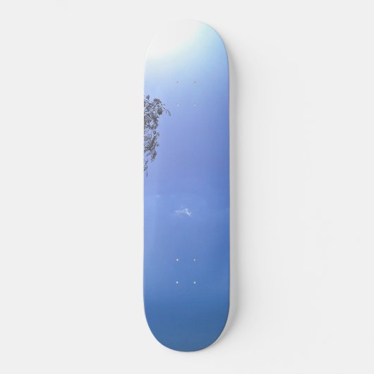 SKATEBOARD (Voorkant)