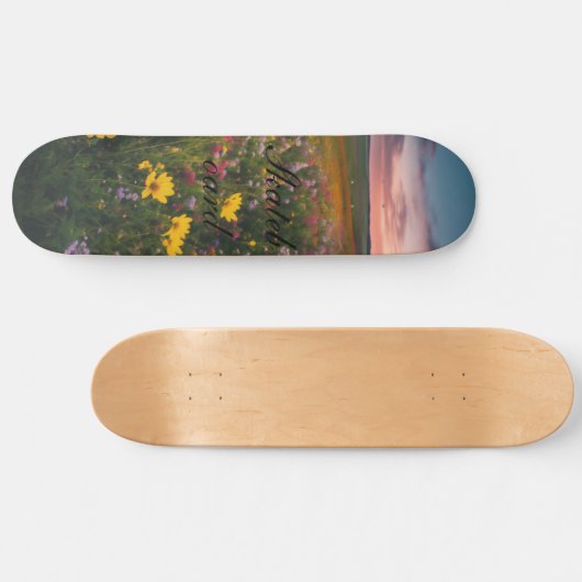 Skateboard (Horizontaal)