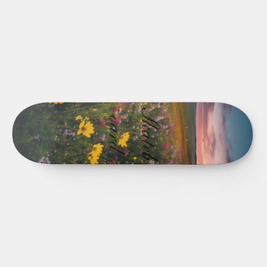 Skateboard (Horizontaal)