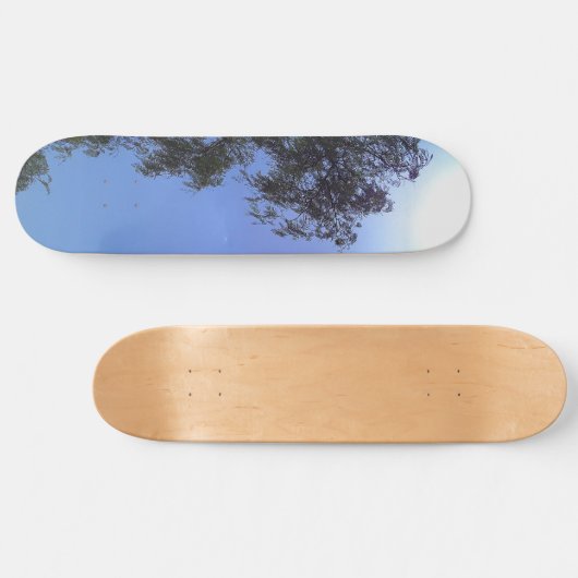 SKATEBOARD (Horizontaal)