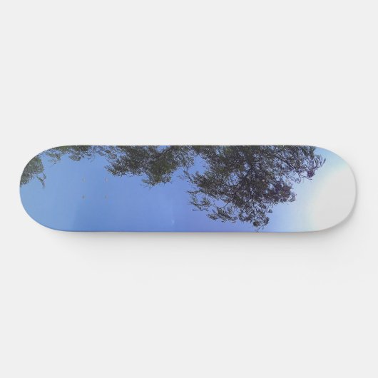 SKATEBOARD (Horizontaal)