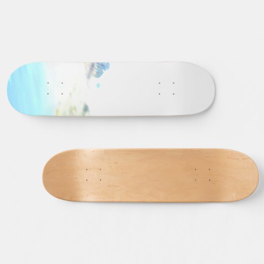 SKATEBOARD (Horizontaal)