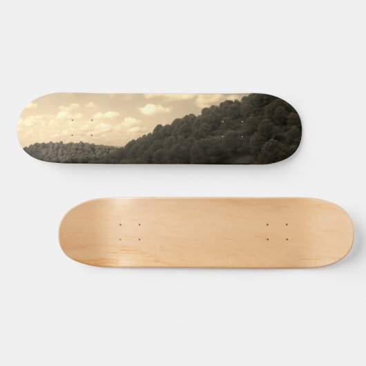 Skateboard (Horizontaal)