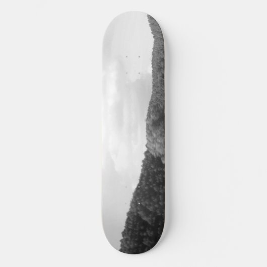 Skateboard (Voorkant)