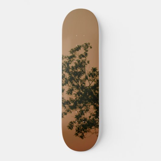 Skateboard (Voorkant)