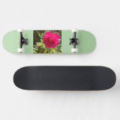 Skateboard (Horizontaal)