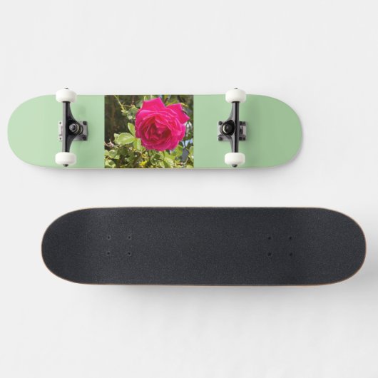 Skateboard (Horizontaal)