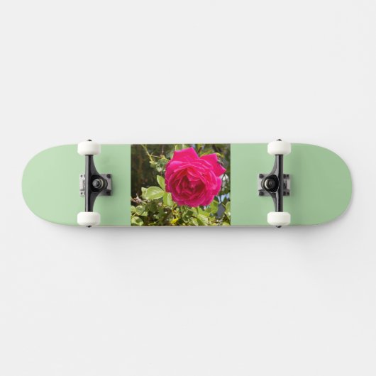 Skateboard (Horizontaal)