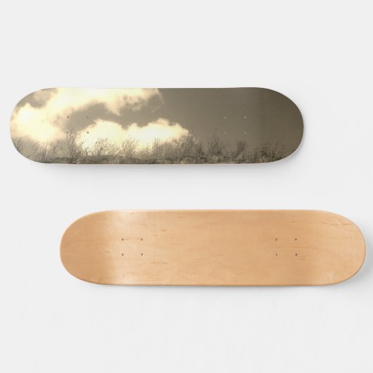 SKATEBOARD (Horizontaal)