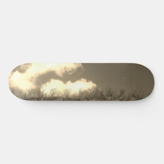 SKATEBOARD (Horizontaal)