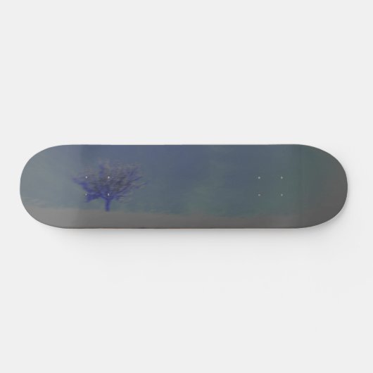 Skateboard (Horizontaal)