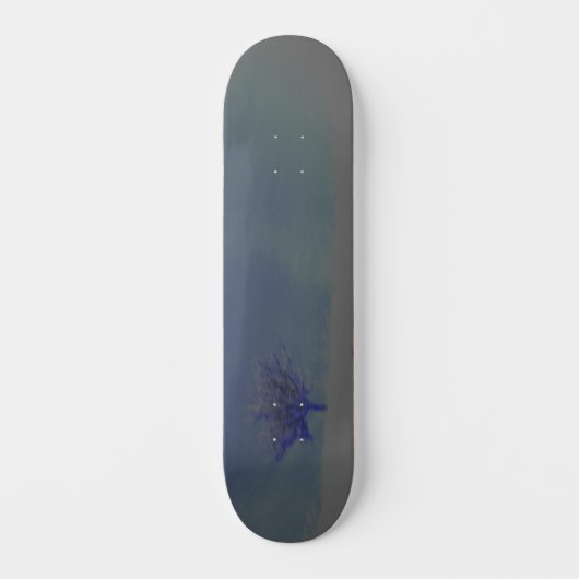 Skateboard (Voorkant)