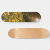 Skateboard (Horizontaal)