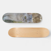 Skateboard Atento gato británico de pelo corto (Horizontaal)