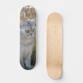 Skateboard Atento gato británico de pelo corto (Voorkant)
