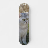 Skateboard Atento gato británico de pelo corto  (Voorkant)