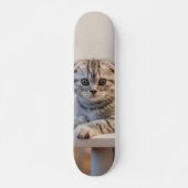 Skateboard Atento gato de raza fold escocés (Voorkant)