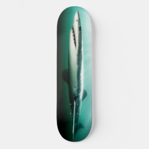 Skateboard BEAUTIFUL Shark Predator.