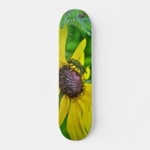 Skateboard Bee and Black Eyed Susan