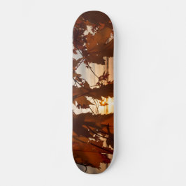 Skateboard bladen van esdoorn