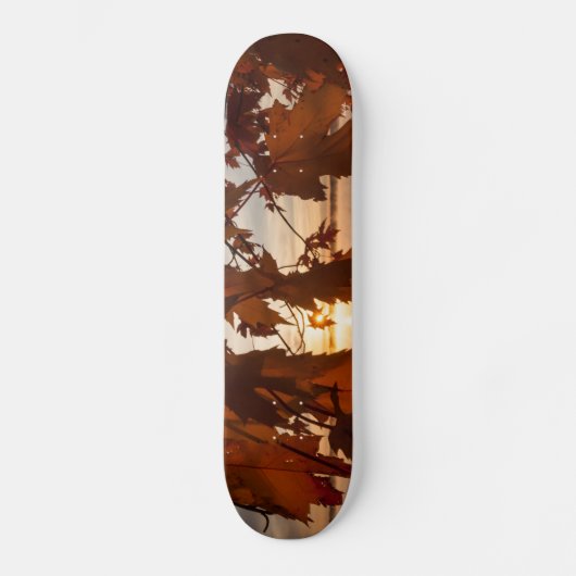 Skateboard bladen van esdoorn (Voorkant)