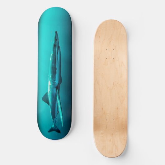 Skateboard Bull Shark Predator. (Voorkant)