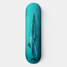 Skateboard Bull Shark Predator.