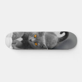 Skateboard Curioso gato británico de pelo corto (Horizontaal)