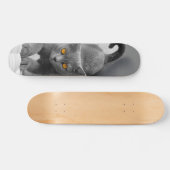 Skateboard Curioso gato británico de pelo corto (Horizontaal)