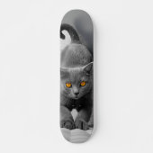 Skateboard Curioso gato británico de pelo corto (Voorkant)