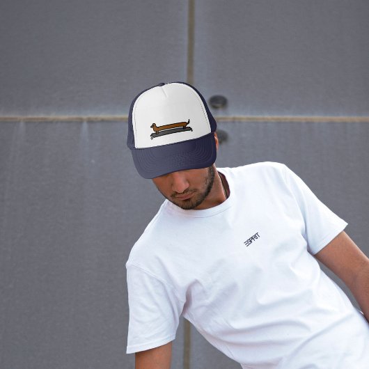 Skateboard dachshund pet/pet trucker pet