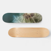 Skateboard - Dandelion Seeds (Horizontaal)