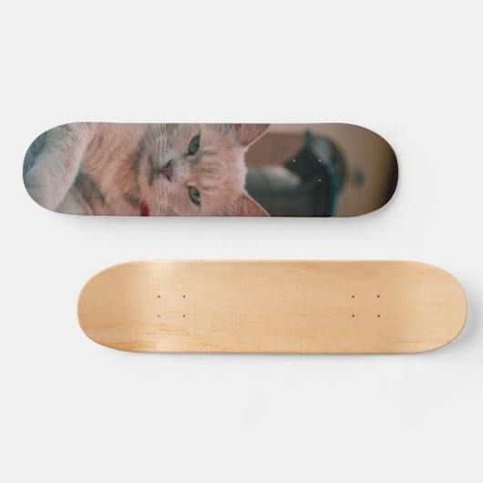 Skateboard Gato atigrado naranja con seria actitud (Horizontaal)