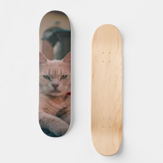 Skateboard Gato atigrado naranja con seria actitud (Voorkant)