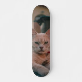 Skateboard Gato atigrado naranja con seria actitud (Voorkant)
