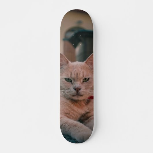 Skateboard Gato atigrado naranja con seria actitud (Voorkant)
