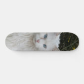 Skateboard Gato blanco angora turco ojos azules (Horizontaal)