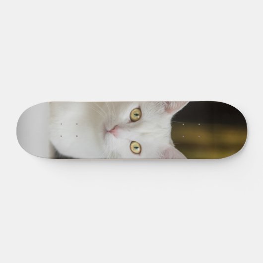 Skateboard Gato blanco con ojos amarillos (Horizontaal)