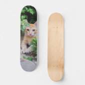 Skateboard Gato descansa atento para cazar (Voorkant)