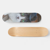 Skateboard Gato gris y blanco observando (Horizontaal)