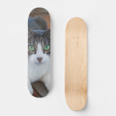 Skateboard Gato gris y blanco observando (Voorkant)
