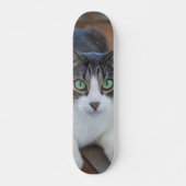 Skateboard Gato gris y blanco observando (Voorkant)