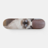 Skateboard Gato peludo de raza ragdoll (Horizontaal)
