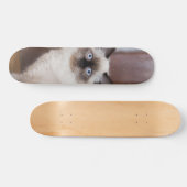 Skateboard Gato peludo de raza ragdoll (Horizontaal)