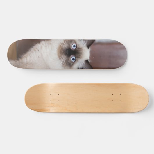 Skateboard Gato peludo de raza ragdoll (Horizontaal)