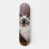 Skateboard Gato peludo de raza ragdoll (Voorkant)