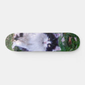 Skateboard Gato raza Maine Coon pelo largo (Horizontaal)