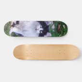 Skateboard Gato raza Maine Coon pelo largo (Horizontaal)