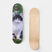 Skateboard Gato raza Maine Coon pelo largo (Voorkant)
